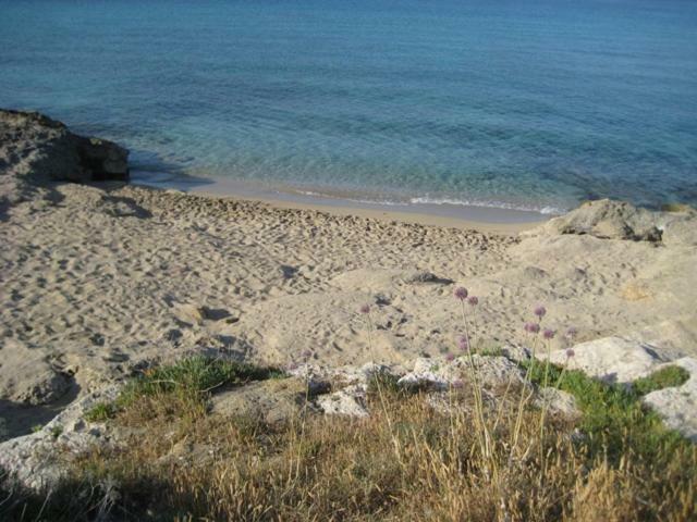 Attico A 150 Mt Dal Mare Villa Марина ди Манкаверза Екстериор снимка